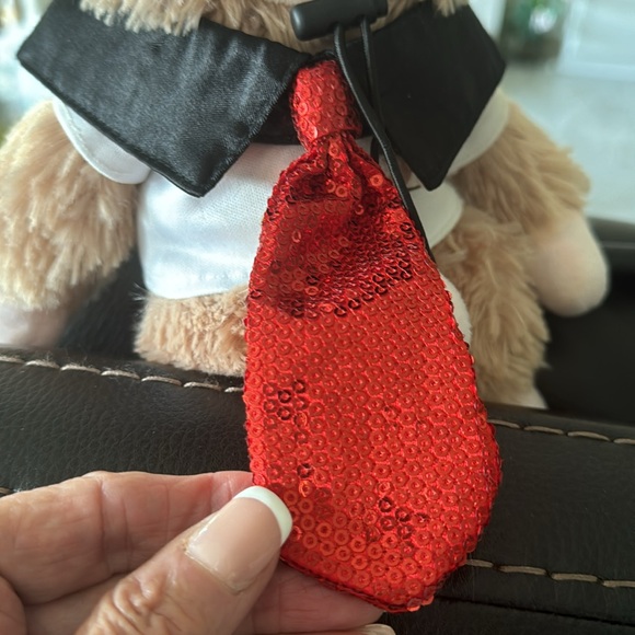 Pet pilgrim hat, and rhinestone tie with collar - Picture 4 of 6